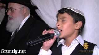 Uziya Tzadok Sings Kochav Meir Live At Chuppah [upl. by Ellehcyar]