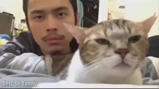 Kumpulan Video Lucu  Best Funny Video [upl. by Machute]