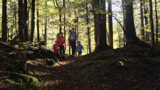 Urlaub in Ruhpolding  Sommer amp Winteraktivitäten in den Bayerischen Alpen [upl. by Onej]