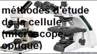 cytologie  les méthodes détude de la cellule les microscopes photoniques [upl. by Saddler]