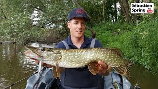 Pêche du carnassier dans le Cher aux leurres whopper bling ruckus [upl. by Ydur]