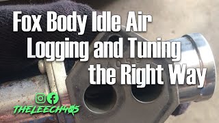 Setting Idle RPM and Tuning Idle Air  Smooth Idle Tuning for Fox Body Mustang 50  Part 3 [upl. by Cock412]