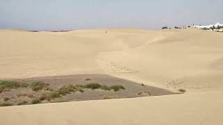 Dunas de Maspalomas Gran Canaria [upl. by Sucerdor]