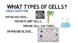 Flow Cytometry Definition 1 [upl. by Graehl]