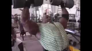 Best of Ronnie Coleman [upl. by Lertnek143]