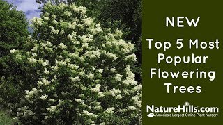 New Top 5 Most Popular Flowering Trees  NatureHillscom [upl. by Falk]