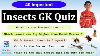 Insect quiz Bug Quiz  GK Quiz for Kids  Animal Quiz  Insect Questions  Animal Trivia Quizzes [upl. by Gilbart734]