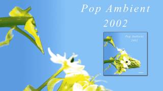 Donnacha Costello  Dry Retch Pop Ambient 2002 Album [upl. by Annek436]