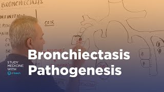 Bronchiectasis Pathophysiology Cystic Fibrosis Explained [upl. by Elinet750]