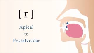 r̠  voiced apical postalveolar trill [upl. by Melgar597]