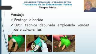 Tratamiento de las Enfermedades Podales en Bovinos Parte 2 Recorte Terapéutico y Terapia Tópica [upl. by Nnylamme]