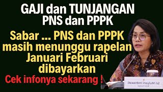 PNS dan PPPK masih menunggu pembayaran rapelan gaji Januari Februari  Gaji dan Tunjangan [upl. by Zetra]