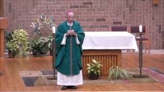 Homily for the Fifteenth Sunday in Ordinary Time Bishop Robert Morneau  July 14 2018 [upl. by Aisyram]