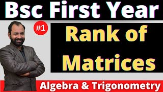 Bsc 1st year Maths paper 1 Chapter 3 unit 1 Rank of Matrices \ L1 [upl. by Jehial]