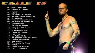 Mix Calle 13 Sus Mas Grandes Exitos 24 Grandes Exitos Enganchados [upl. by Nahsar]