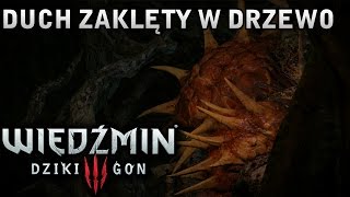 Wiedźmin 3  Dziki Gon  Nilfgaardzki Łącznik  cz6 [upl. by Sorensen491]