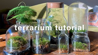 How to make a closed terrarium and basic care  easy tutorial [upl. by Pergrim]