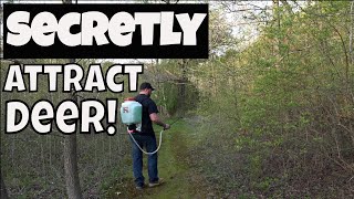 Learn How To Attract Deer To Small Properties Fast [upl. by Lemmor]