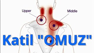 OMUZ 👉 SIRTIMDAKİ YÜK  GEÇMEYEN SIRT AĞRILARI  Fizyoterapist Aynur BAŞ [upl. by Akilak229]