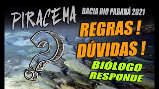 ATENÇÃO PESCADOR PIRACEMA 2021 REGRAS e DÚVIDAS  Bacia Rio Paraná [upl. by Sualohcin]