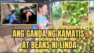 ANG GANDA NG KAMATIS AT BEANS NI LINDA [upl. by Annahsad49]