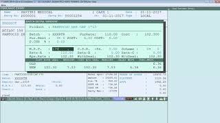 Purchase Entry In Marg Software  Hindi [upl. by Elimay]