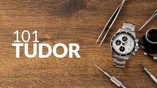 TUDOR explained in 3 minutes  Short on Time [upl. by Anilra]