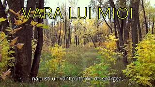 Vara lui Mioi 29091410 [upl. by Karlin]