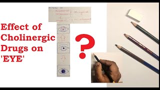 Effect of Cholinergic Drugs on EYE  Miosis  Mydriasis  Accommodation  Cycloplegia [upl. by Formenti502]