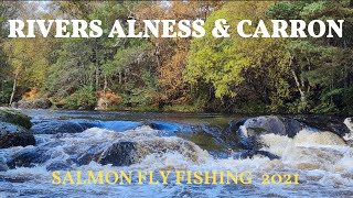 SALMON FISHING  The Rivers Alness amp Carron  Scotland  2021 [upl. by Brunn]