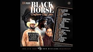 SOUTHERN SOUL Black Horse Party Mix [upl. by Rapsag]