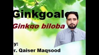 Ginkgo bilobaIntroduction Characteristics Affinities Uses [upl. by Sinegold]