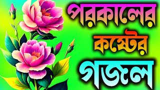 কবরের সেরা কষ্টের গজল  বাংলা গজল  Koborer top Koster Gojal  GhazalTv25 [upl. by Orvil934]