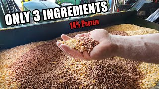 EASY PIG FEED MIX  Only 3 Ingredients 14 Protein [upl. by Vadnee]