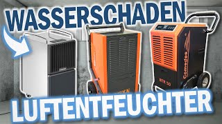 Beste WASSERSCHADEN LUFTENTFEUCHTER 2024  40L50L60L Luftentfeuchter Vergleich [upl. by Iohk]