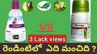 Coragen Vs Ampligo ఇ రెండు పురుగు మందులలొ ఏది మంచిది   which is best insecticide CoragenvsAmpligo [upl. by Constance292]