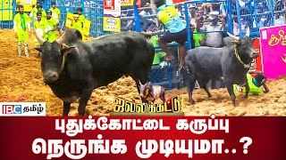 புதுக்கோட்டை கருப்பு நெருங்க முடியுமா  Pudhukottai Karuppu  Palamedu Jallikattu  IBC Tamil [upl. by Herv]