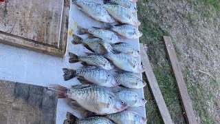 1756 Havoc  DB 🦆 Boat  Crappie Setup with Livescope [upl. by Ellak971]