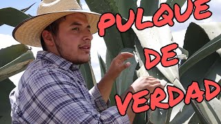 Así se Hace el pulque de verdad [upl. by Jecon]