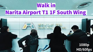 ［Walk in Narita Airport Terminal1 F1 South Wing ］成田空港第1ターミナル1F 南ウイングを歩いてみた walkingtour2024 散歩 [upl. by Plunkett349]