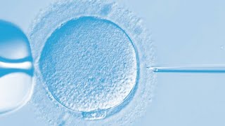 IVF Lab Tour  What happens Inside Fertilization by ICSI to Embryo Transfer [upl. by Isej]