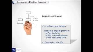 Los organigramas  tipos y reglas de organigrama [upl. by Nnylannej]