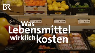 Kosten für die Umwelt Der wahre Preis von Lebensmitteln  Gut zu wissen  BR [upl. by Niel]