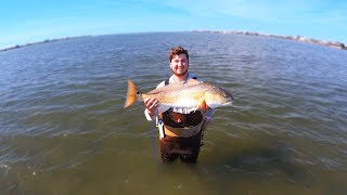 WADE FISHING GALVESTON for BIG REDFISH Must watch [upl. by Llertram859]