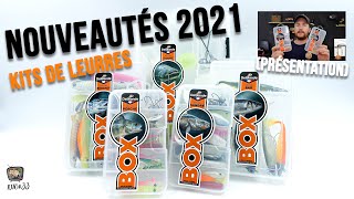 🎣 Quels LEURRES souples pour quels POISSONS   Nouveautés 2021  kits de leurres DELALANDE [upl. by Ddej53]