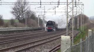 71000 Duke of Gloucester Nr Berkhamsted 5311 [upl. by Ilke264]