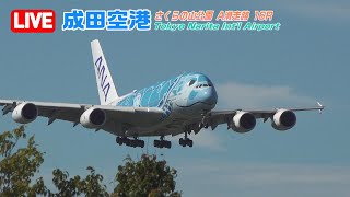 【LIVE】20240316 Tokyo NARITA Intl Airport Plane Spotting 成田空港 [upl. by Neitsirhc]