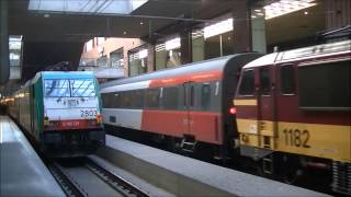 Trains  AntwerpCentralTreinen in Den Centraal [upl. by Lefton]