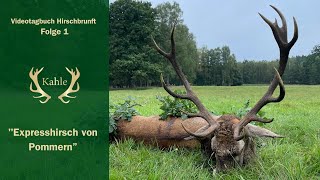 Expresshirsch in Pommern erlegt  Die Brunft beginnt [upl. by Sarid]