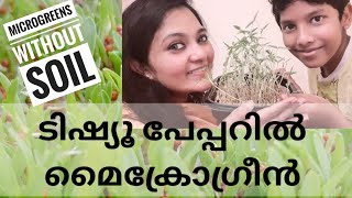 Best way to Grow Microgreens Without Soil Using Tissue Paper മൈക്രോഗ്രീൻ വളർത്താം ടിഷ്യുപേപ്പറിൽ🥬 [upl. by Atener364]